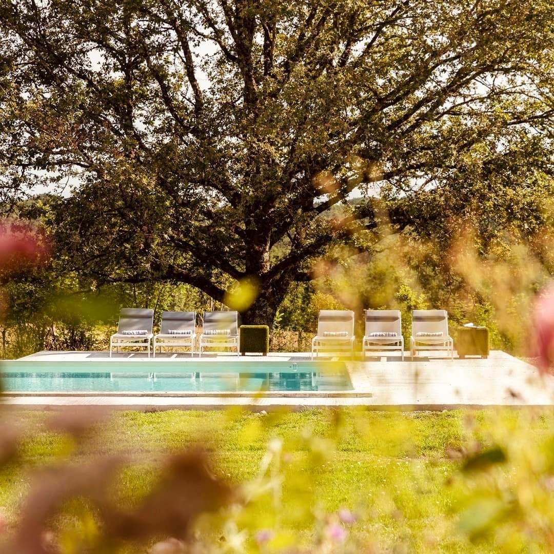 Sun loungers beside the private pool at Chez Le Vigneron, Dordogne