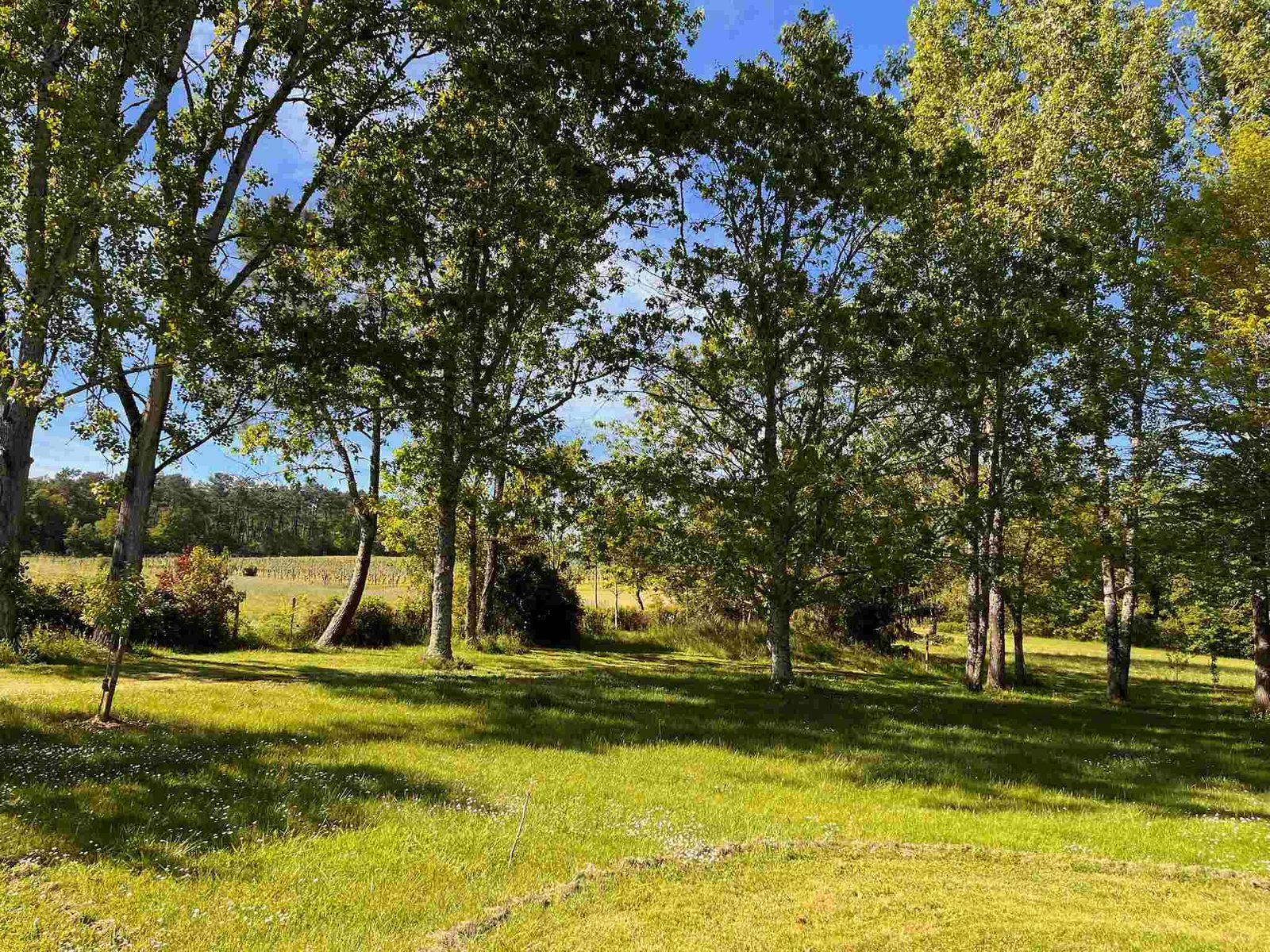 Private pool and gardens at Chez Le Vigneron, holiday home in Monfaucon, Dordogne (11)