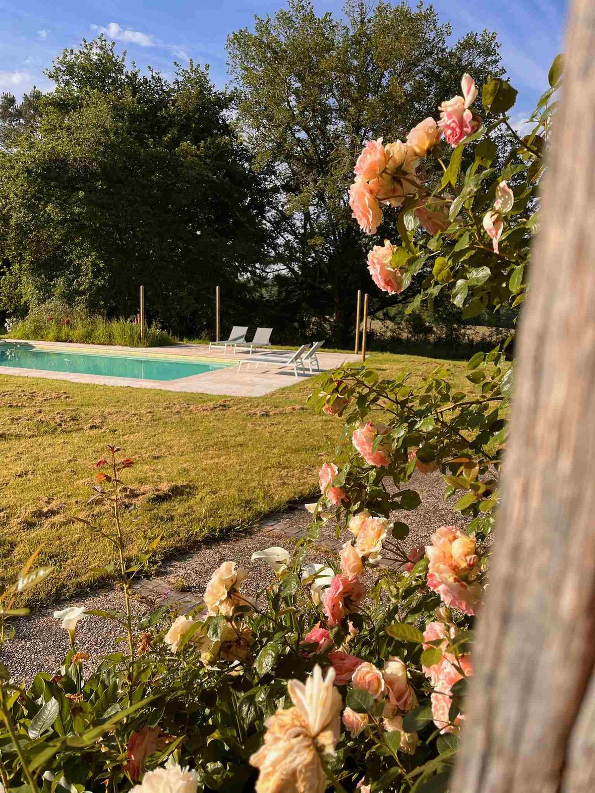 Private pool and gardens at Chez Le Vigneron, holiday home in Monfaucon, Dordogne (16)