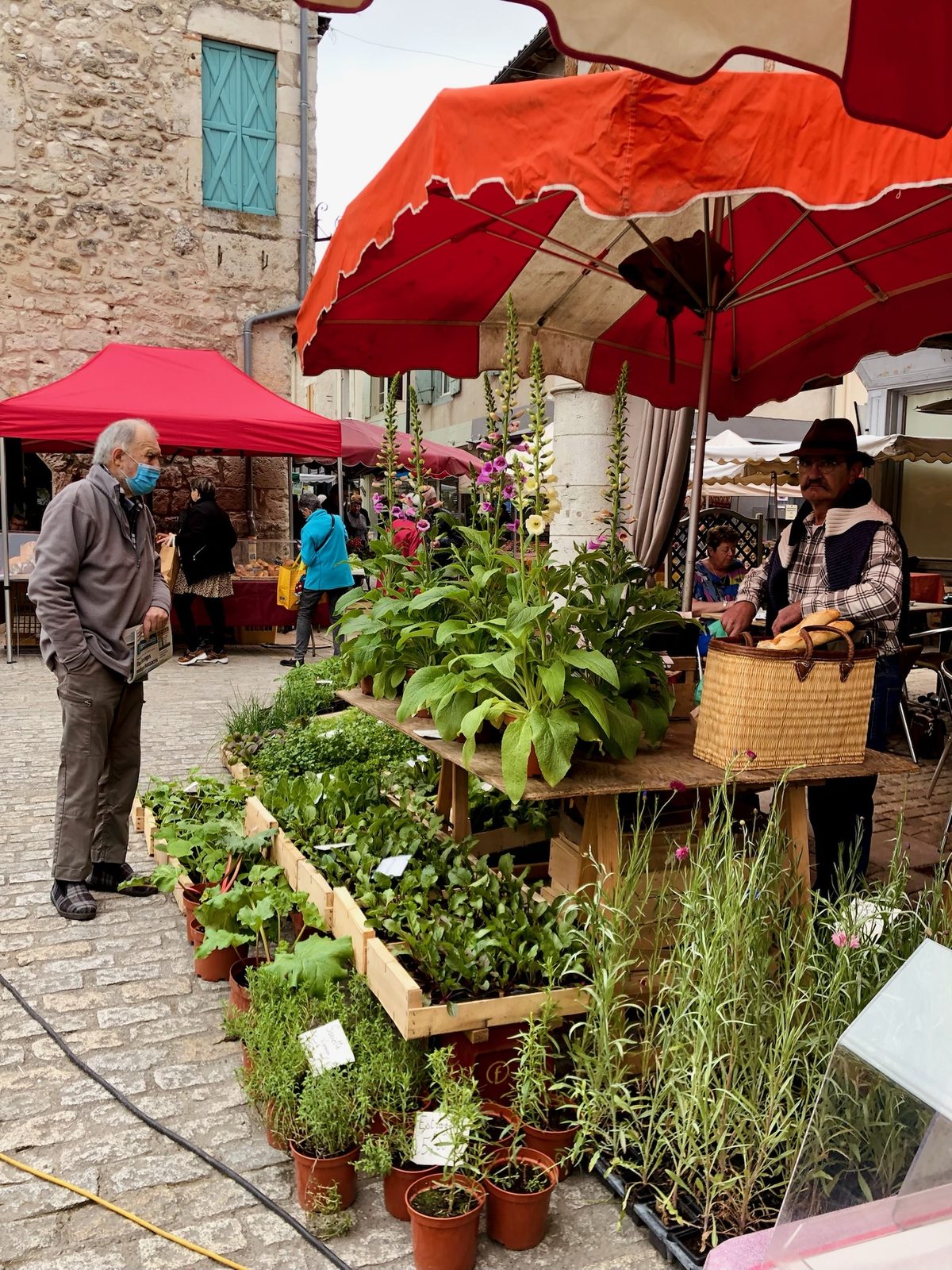 Dordogne countryside, villages and vineyards near Bergerac, close to Chez Le Vigneron (8)